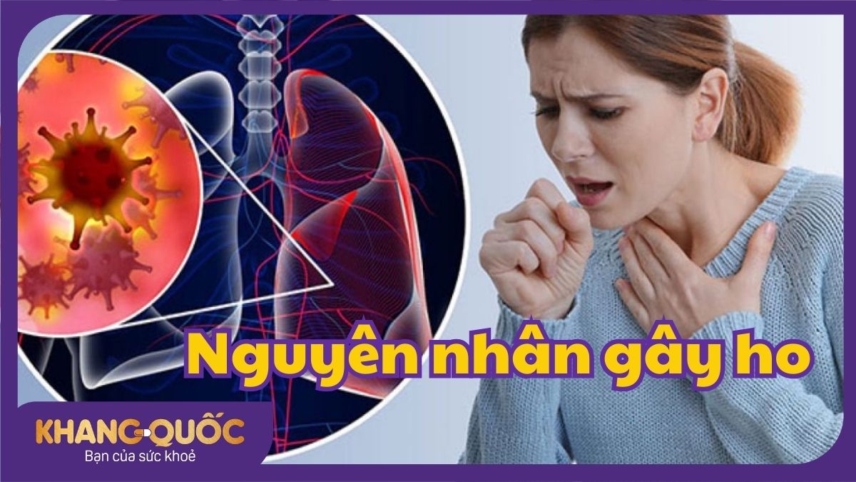 public/uploads/bai-viet/ho/nguyen-nhan-gay-ho-1.jpg public/uploads/bai-viet/ho/nguyen-nhan-gay-ho-1.jpg